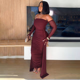 Long Sleeve Ribbon Mesh Pleated Slim Dress