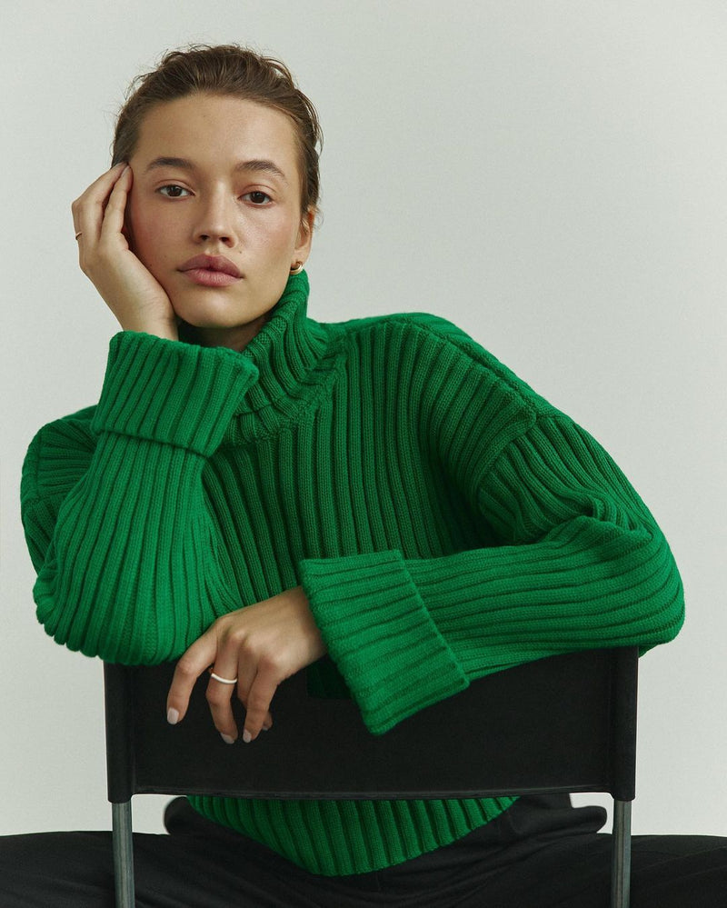 Turtleneck Over Sleeve Short Sweater