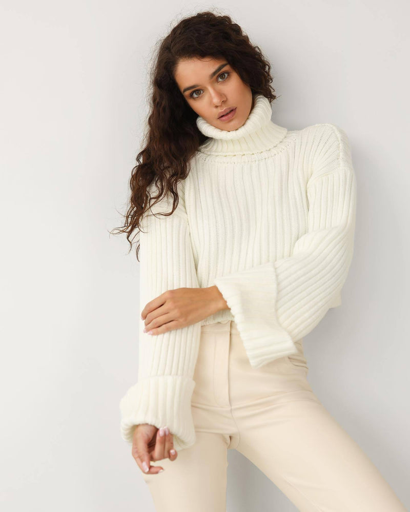 Turtleneck Over Sleeve Short Sweater