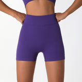 Quick Drying Seamless Yoga Fitness Suit