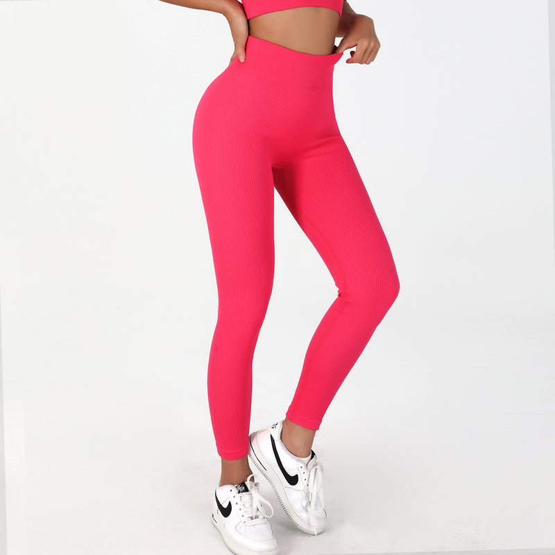 Quick Drying Seamless Yoga Fitness Suit