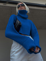 Turtleneck Over Sleeve Short Sweater